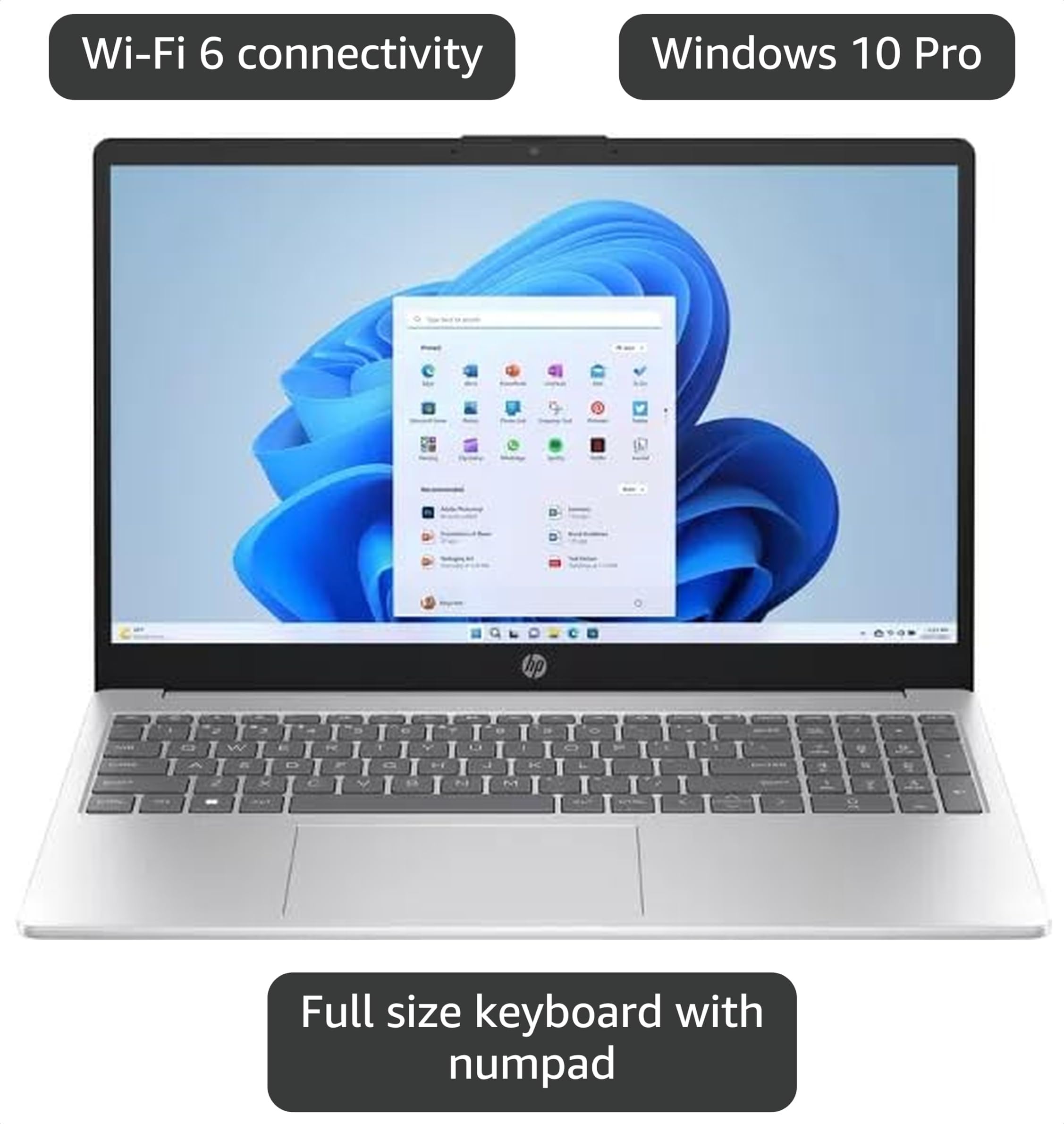 Amazon.com: HP 250 G10 Laptop / 15.6